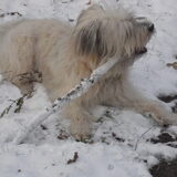 Foto van carla en cyra