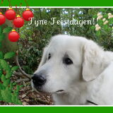 Foto van Annelies & Déru†, en de Puli,s Ixy en Kwint
