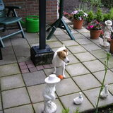 hy hier ben ik in de tuin