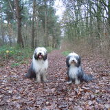Duuk en Wammes(je) ;)