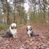 Duuk met de dochter van onze Promise; Wammes