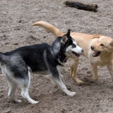 samen met vriendinnetje mindy