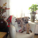 Ze wilden ook even samen op de foto.