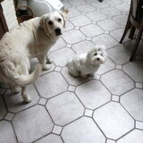Noa samen met haar vriendinneke Kira Wat staan jullie daar nu te…