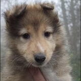 Alvast een eerste foto van onze DAISY