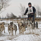 de 2de wedstrijd die 4 jaarlingen liepen. 1ste geworden in de 6honden…