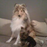Cooper & Bo