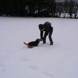 samen zoeken