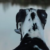 Foto van Lotte met Hobbe
