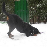 Foto van Hannie met Beer en Chelsea