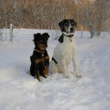 Foto van Petra,  *Lily Jane*   & Jip