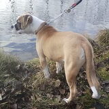 Foto van samira-chika-lady