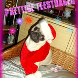 Xmascard design 2010 :)