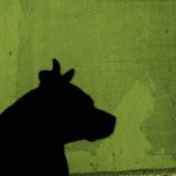 The shadow