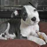 Wat een model he :)
