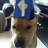hoera 1 jaar