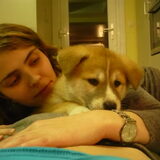 Foto van * Sisqo+ Shiba & Yumi *