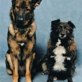 Mijn duo! Links Igor, rechts Pluut