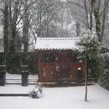 mijn achtertuin 16 december 2010