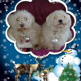 kerst