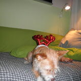 Foto van pippa en ik