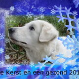 Foto van Annelies & Déru†, en de Puli,s Ixy en Kwint