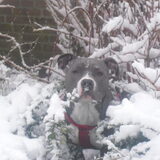 in de sneeuw