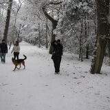 Foto van alex en lady