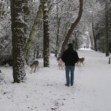 Foto van alex en lady