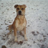 Foto van lilly