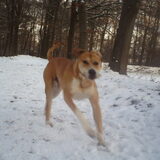 Foto van lilly