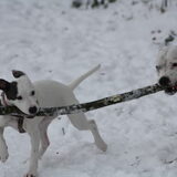 samen delen en spelen