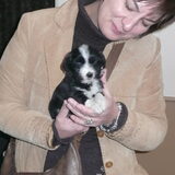 Foto van silke & woody
