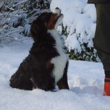 Foto van Marion van Dijk