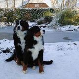 Foto van Marion van Dijk