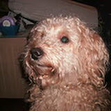 Foto van Chantal_*_Binky