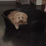 Foto van Chantal_*_Binky