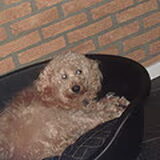 Foto van Chantal_*_Binky