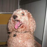 Foto van Chantal_*_Binky