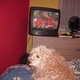 Foto van Chantal_*_Binky