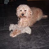 Foto van Chantal_*_Binky