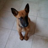 Foto van brenda & cora ° Eros ° Frodo