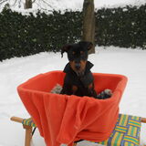 Foto van Marleen , Blacky & Justy