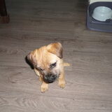 Foto van kelly