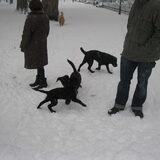 spelen in de sneeuw met vriendjes