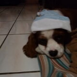 kerst Binky