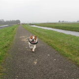 Foto van Thara