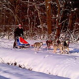 december 2010, ik op de slee met torque,Cyra,Dana,Cold