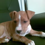 Sila Baby