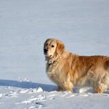 Kerst 25-12-2010!